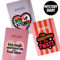 Colourful Mystery Sweary Diary (large)